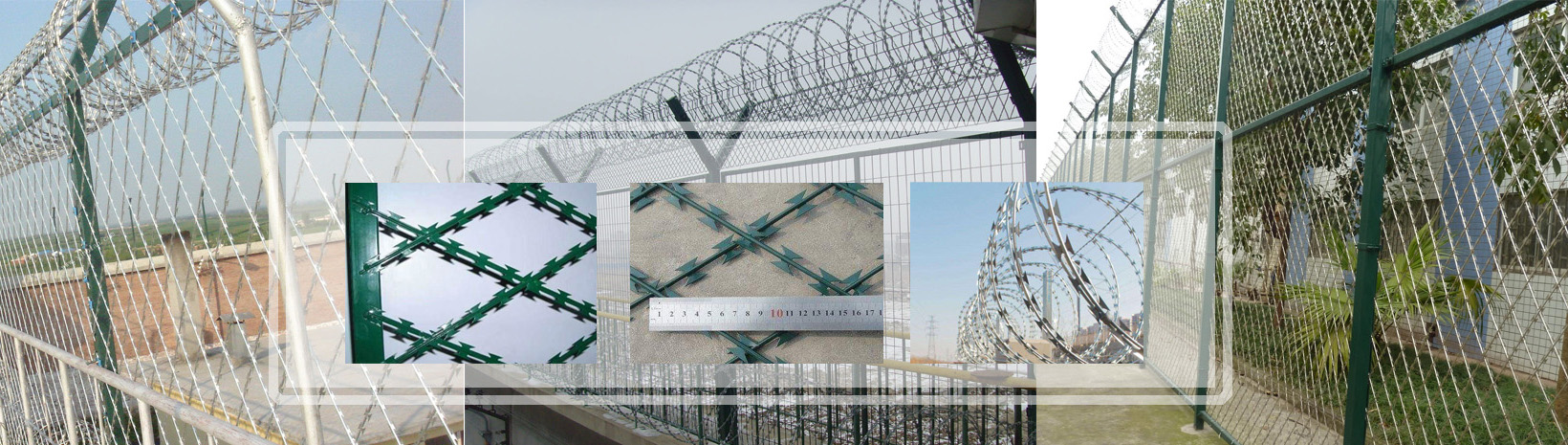 多乐跑胡子游戏下载大全