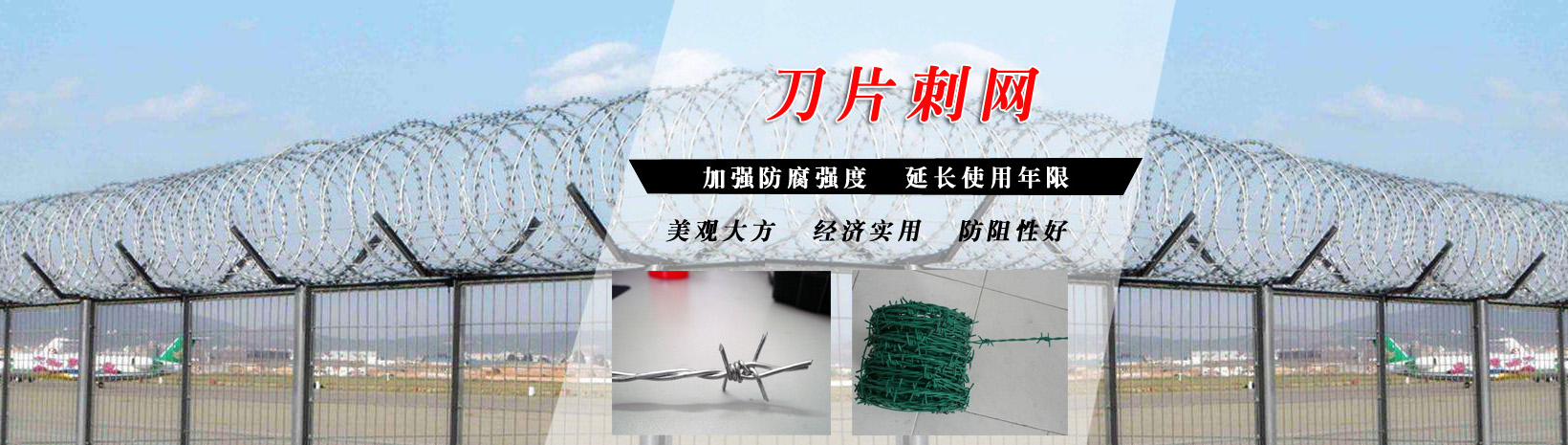 多乐游戏官网是啥
